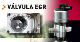 Válvula EGR